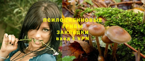 мескалин Надым